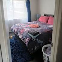 Shane's room