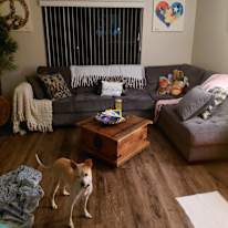 Lacey's room