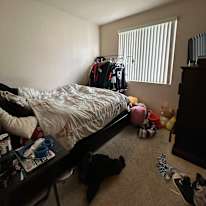 ELaina's room