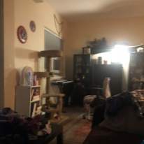 Patricia Arias's room