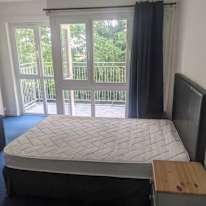 Zalan Rovid's room
