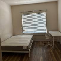 Jacob's room