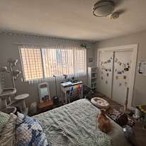 Dani's room