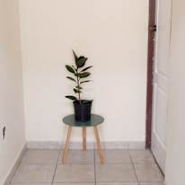 NEMULALO SOLOMON's room