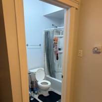 Mary's room