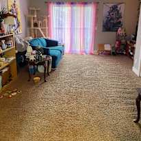 Lauren's room