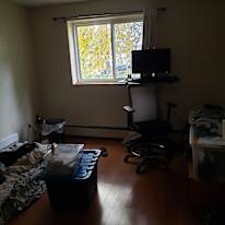 Amy's room