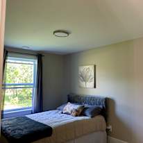 Tammy's room