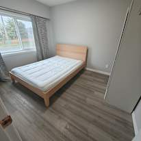 Chloe walsh's room