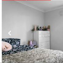 Rachel's room