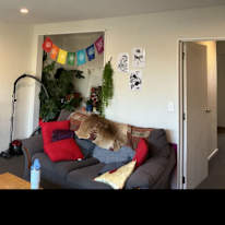 Kayla's room