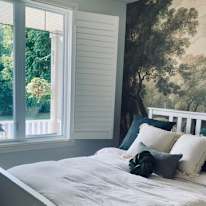 Mary's room