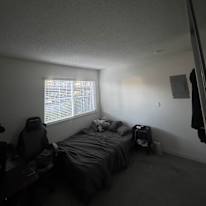 Hamad's room