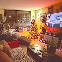 Richard Romano Carlsen's room