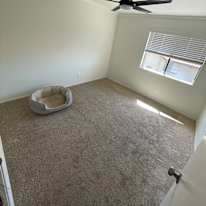 Rachel's room