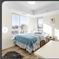 Daniel's room