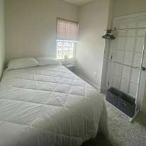 Daniel's room