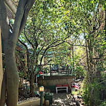Green Point Tree House's room