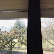 Ivy's room