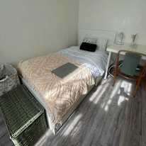 Rocio's room