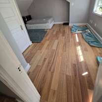 Wryn Lydy's room