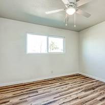 Mary's room