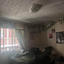Lily's room