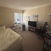 Rebecca's room