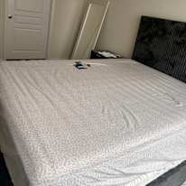Esha's room