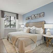 Carol's room