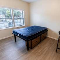 Shane's room