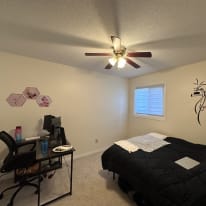 Petyr's room
