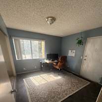Matt's room