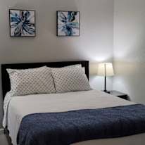 Abigail's room