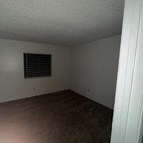 Elif and Ashley's room
