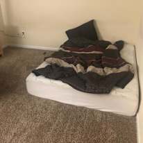 aorlando's room