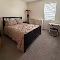 Shahab's room