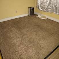 Tiffany Wilson's room