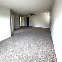 Peter's room