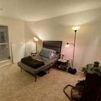 Shay's room