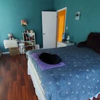 Alison's room