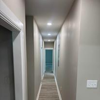 darwin's room