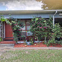Nancy Louise Cook's room