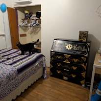 Michelle A Bradshaw's room