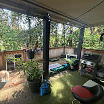 Nicholas's room