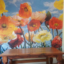 Zoya's room