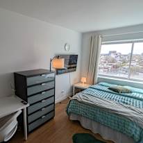 Serdar's room