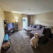 Lucas's room