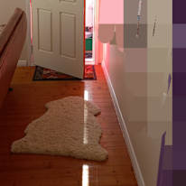 Sarcha's room