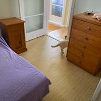 Mandy's room
